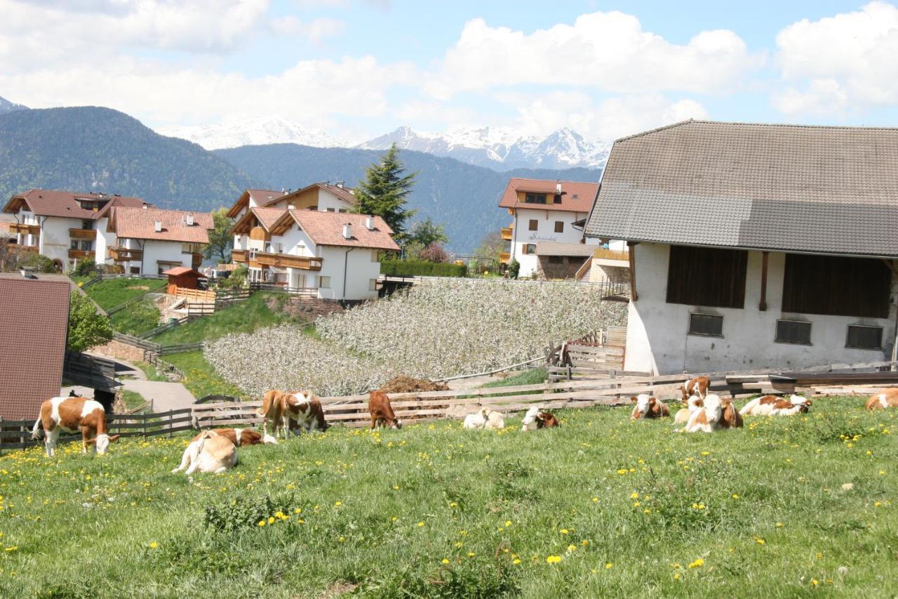 Schoetzerhof Meltina Exteriér fotografie